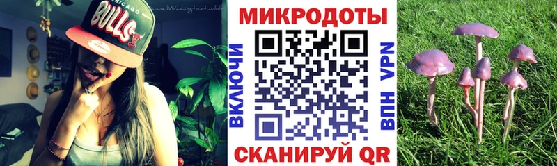 Псилоцибиновые грибы Psilocybe Полярные Зори